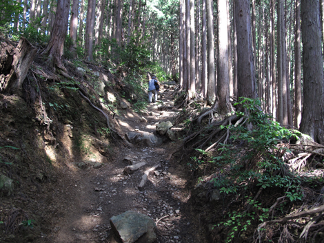 20150929hike (81)